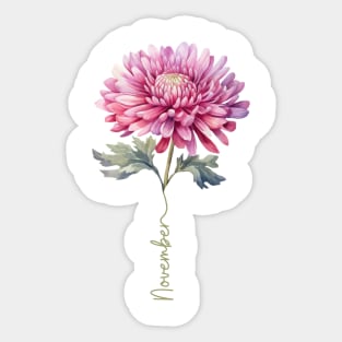 Chrysanthemum - Birth Month Flower for November Sticker